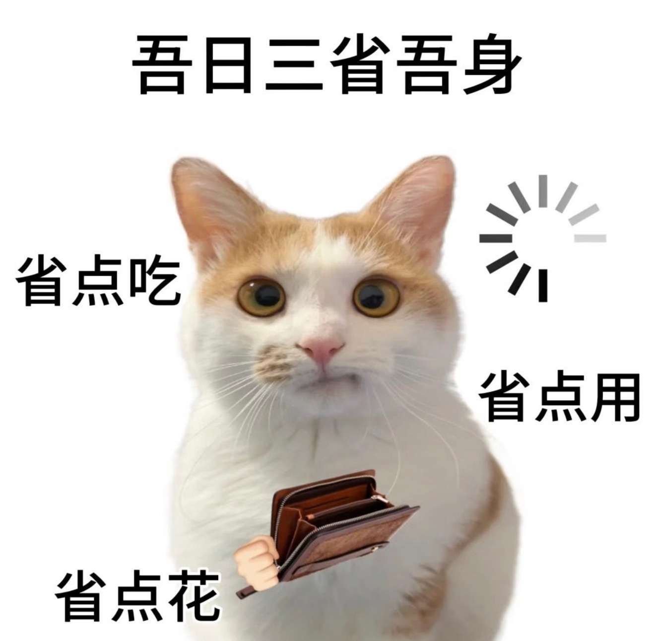 过日子人的淘宝购物车今天天猫双十一就真的要开始了！晚上8点预售开跑，20号付尾款