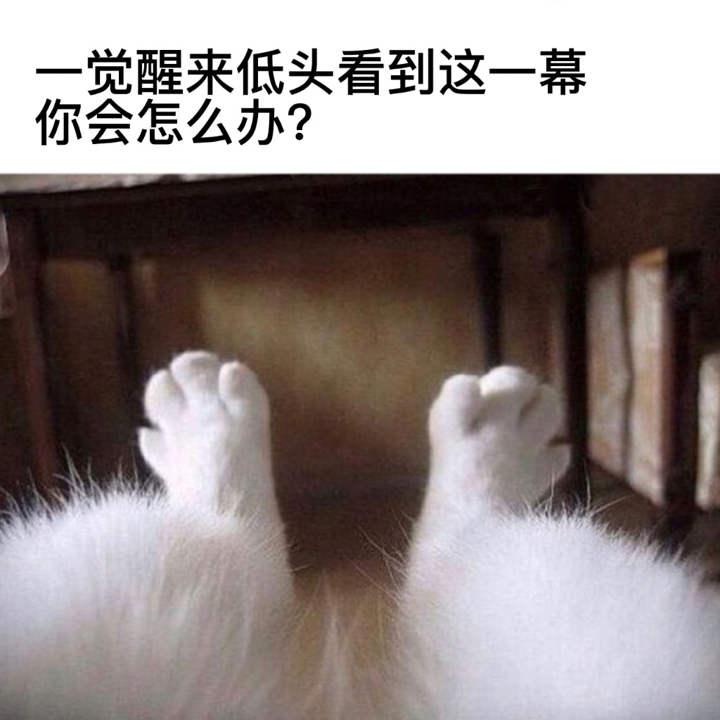 只能说梦想成真了#今日memes##趣过夏天# ​​​
