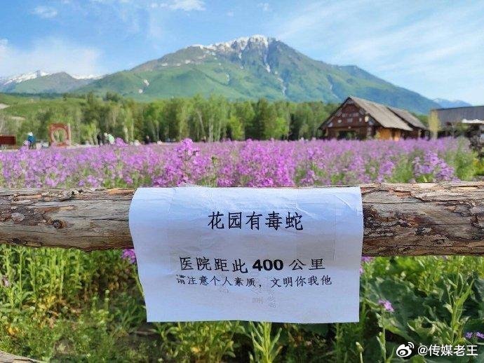 这个狠！还有网红敢踏入打卡吗？ 