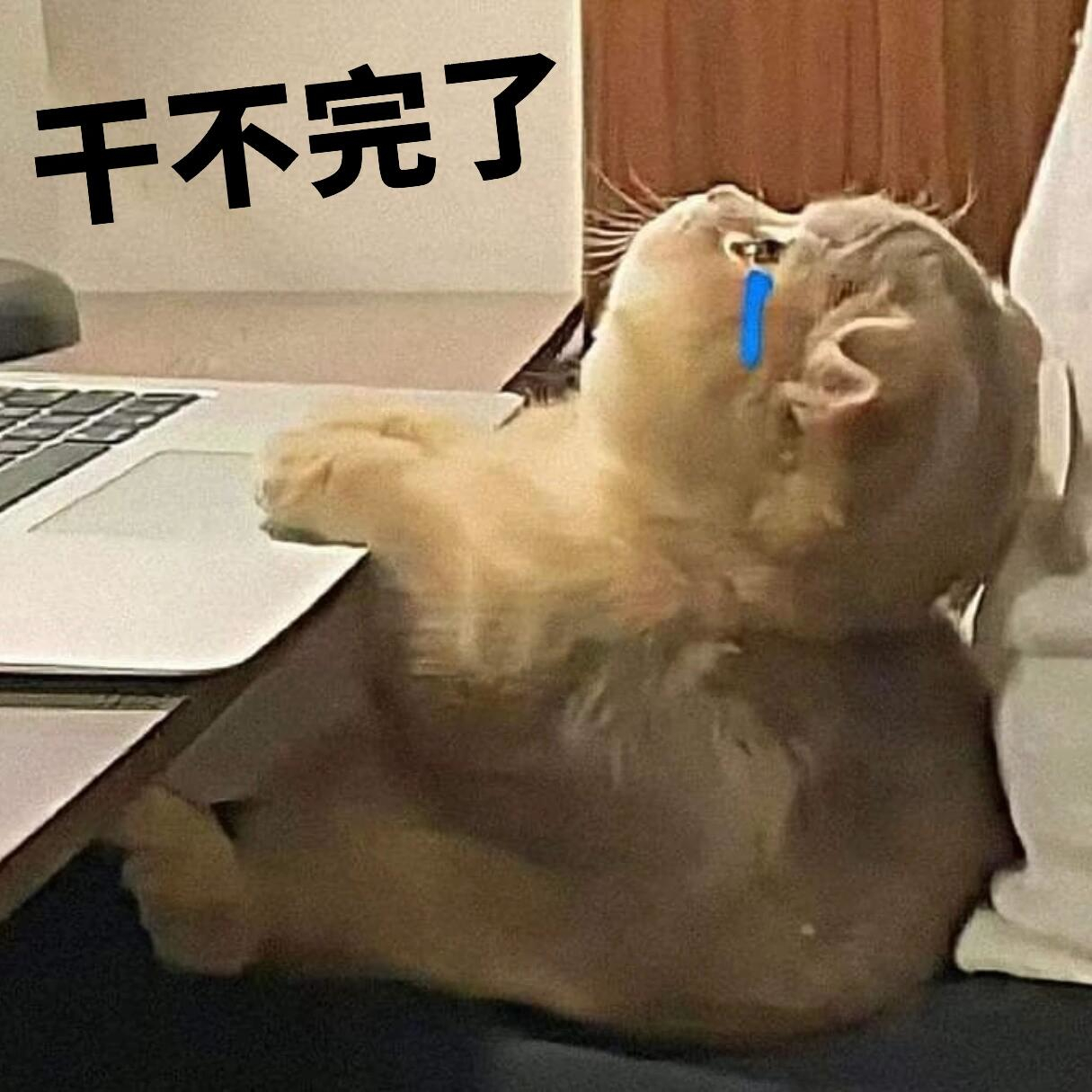 纯正班味儿表情包