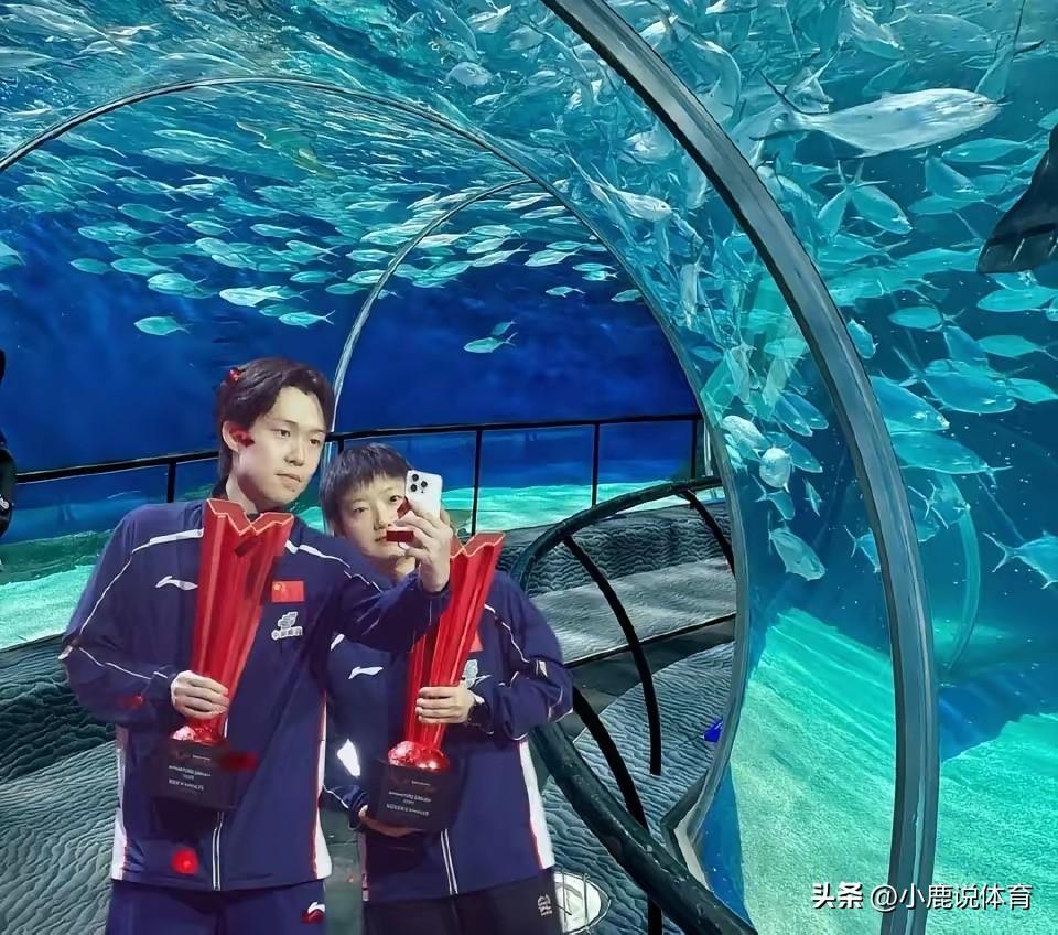 王楚钦这点，真的太圈粉
很多球星到了高位。
多多少少都有点傲气。
王楚钦偏偏不这