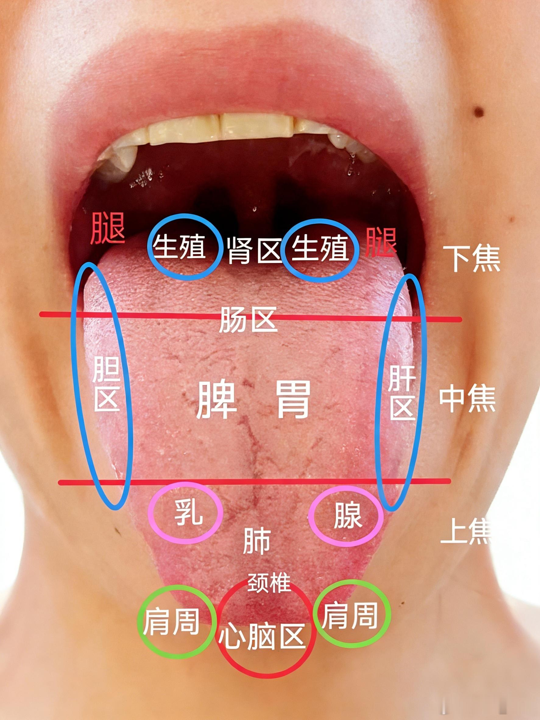 这两种人千万别用麦冬滋阴生津了，玉竹才是不二之选！一提滋阴生津，很多人先想到麦冬