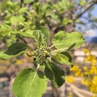 我的今日状态：😁轻松愉快
我这里的天气：☀️晴天