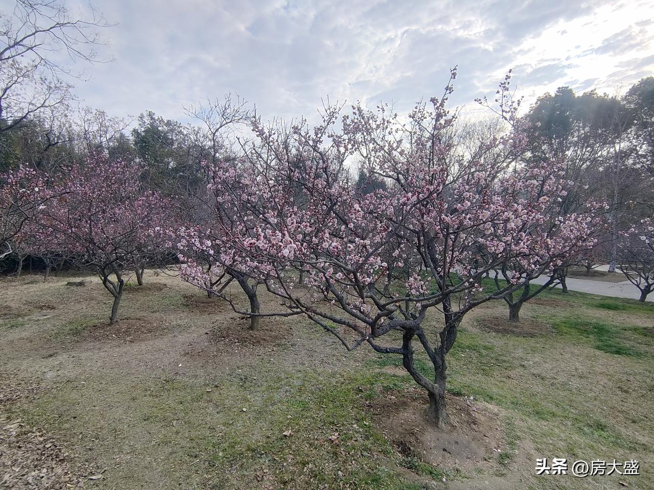 成功真的与能力努力有关吗? 成功与能力、努力肯定有关系，但也不全是。就拿创业来说