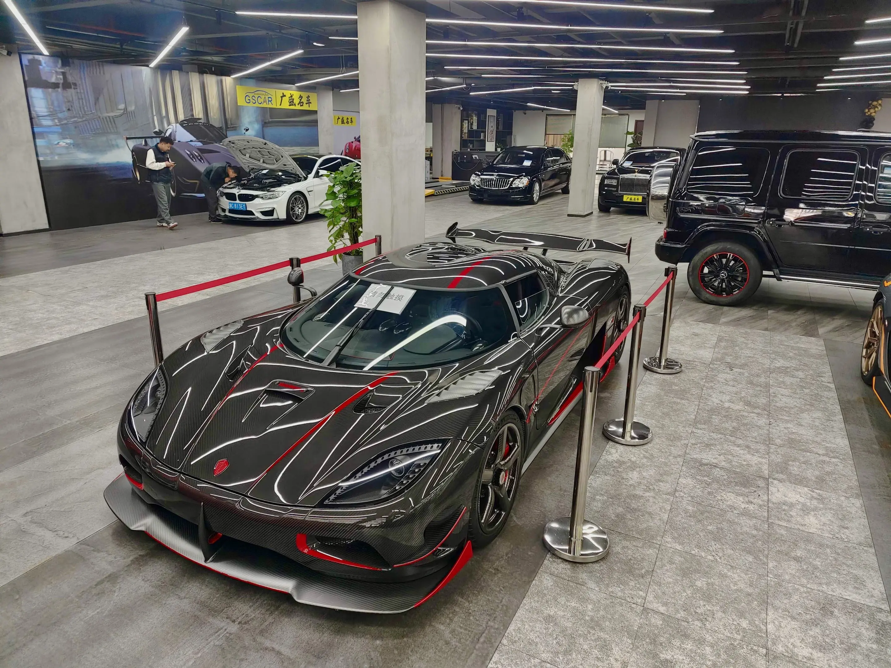 国内最神秘的幽灵猛兽。三年前相遇，今又在何方