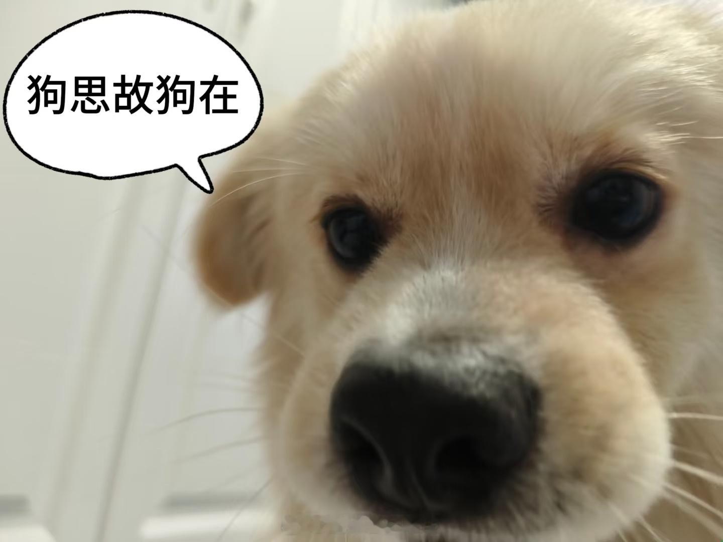 ¯꒳¯ 