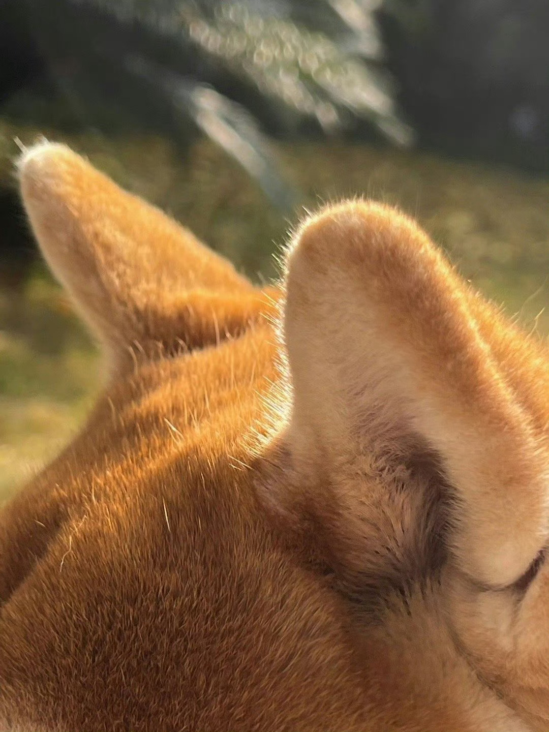 听，你期待的好消息很快到来，接！ 