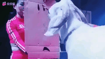 羊会写字？这就有点厉害了吧[机智]