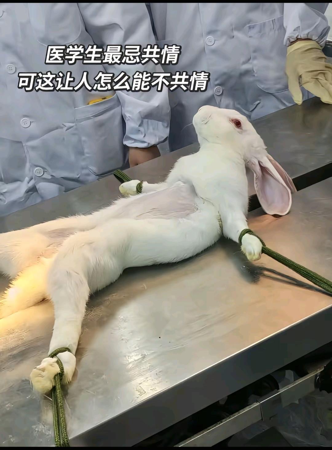 医生会得抑郁症吗？长时间的接触病患，医生该如何调节[呲牙]我跟我一个同学聊天，他