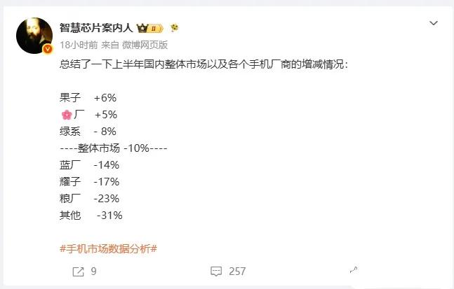 上半年国内手机市场华为以约20%的份额重返榜首，较年初的17.98%稳步攀升，增
