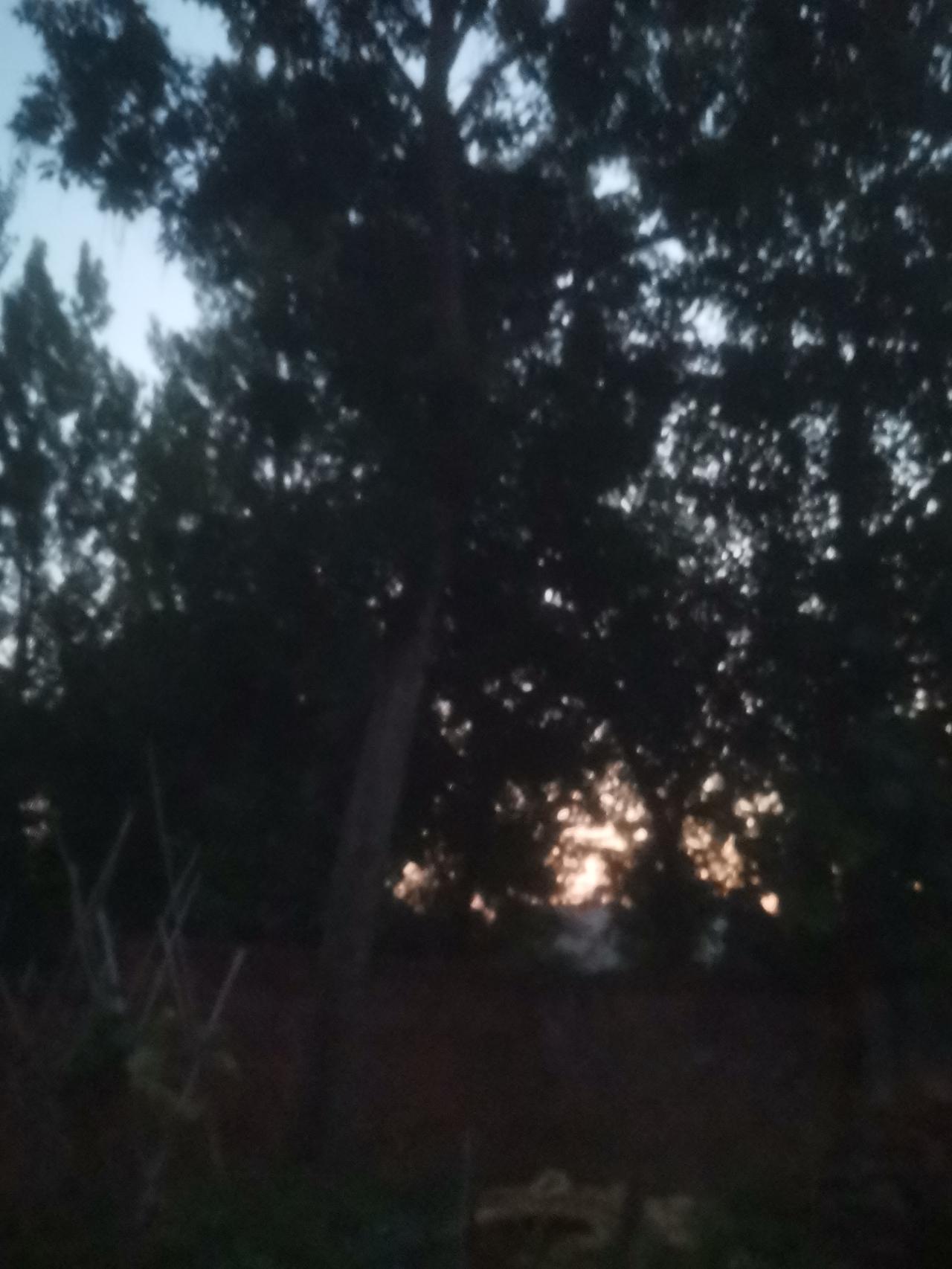 我们这里的五点过十分，天已经亮了，院子里非常凉快。
当我打开门，进到卧室，像走进