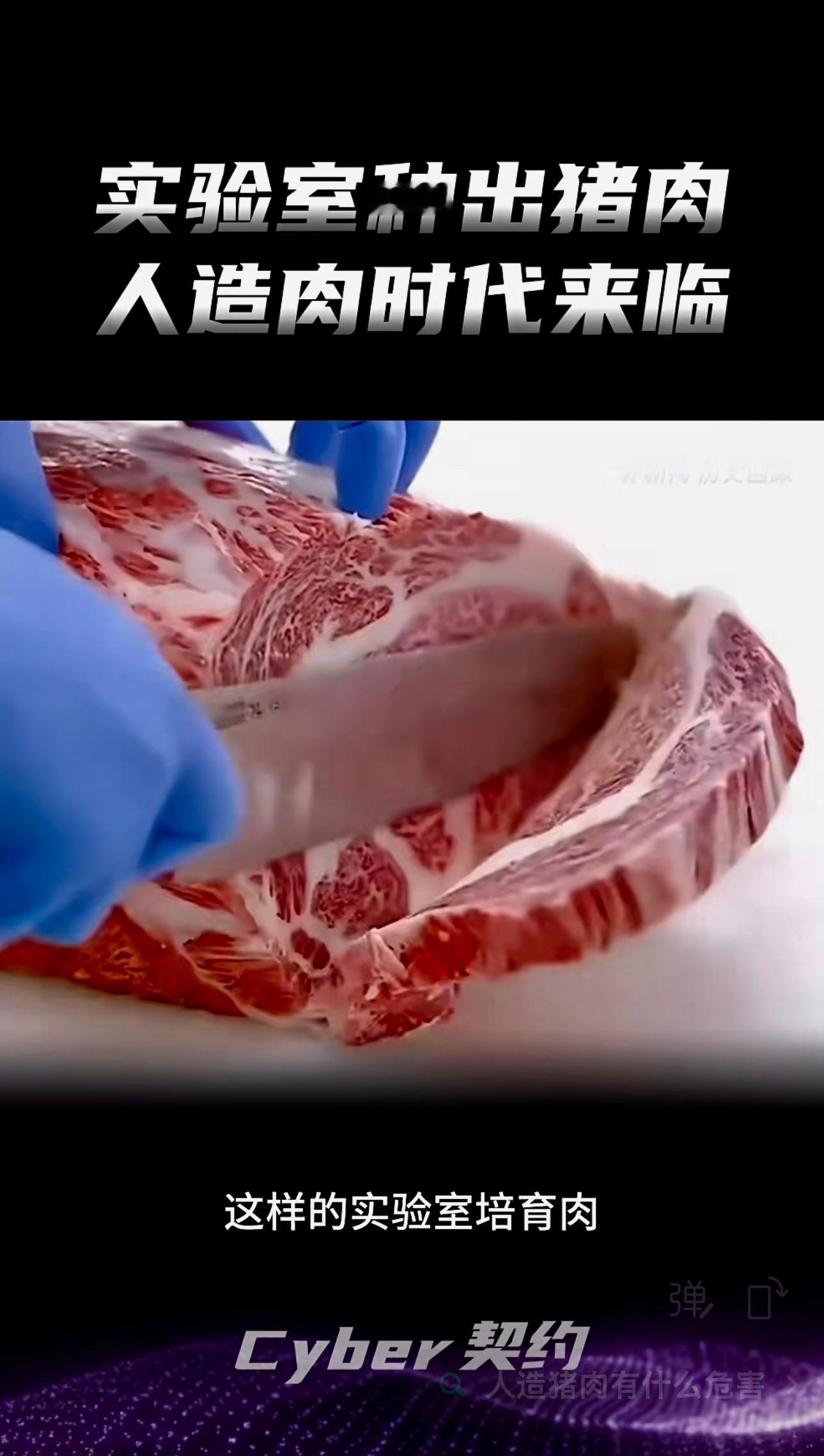 南京竟然在实验室"种"出猪肉，彻底颠覆未来餐桌肉。这将意味着什么？