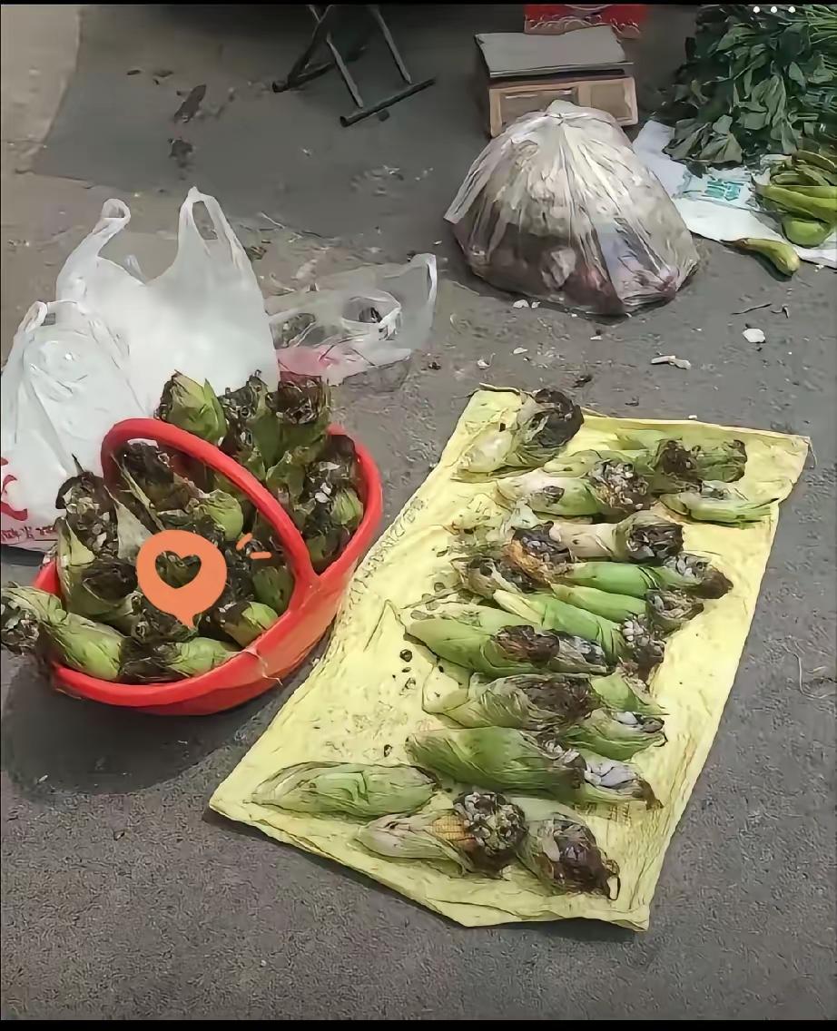 济南早市惊现“玉米乌霉”摊，老一辈看了直发愣：活了大半辈子才知道能吃！

前两天