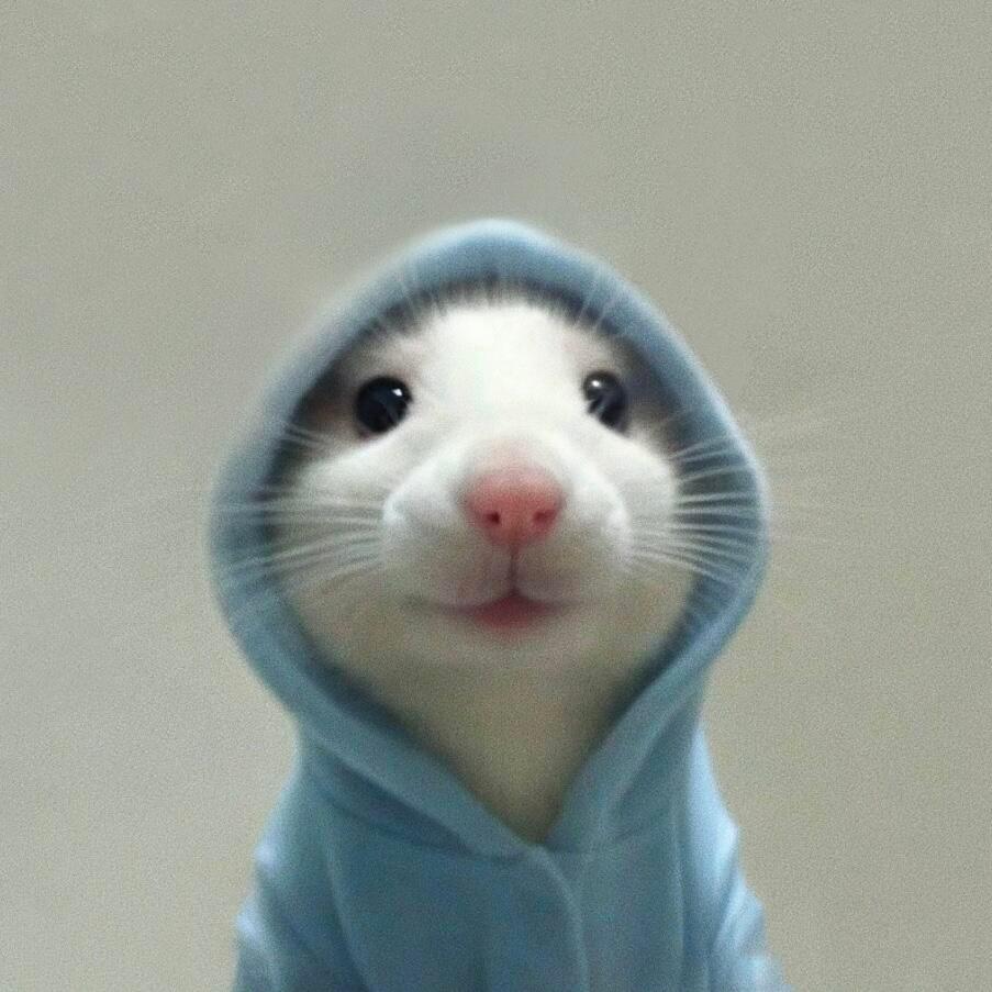 小鼠证件照🐭 