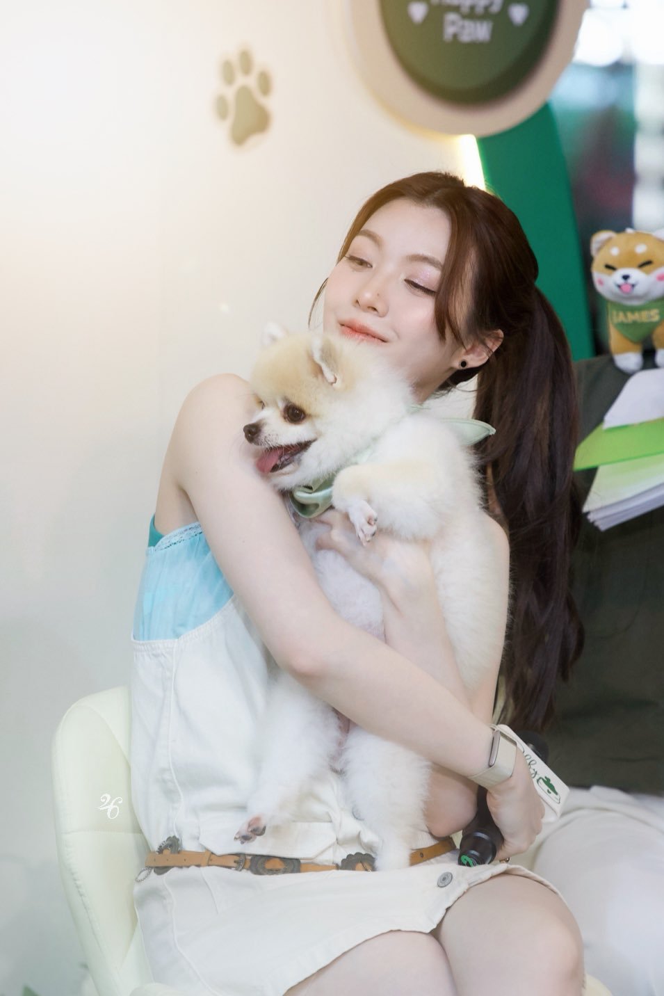 三只🐶 