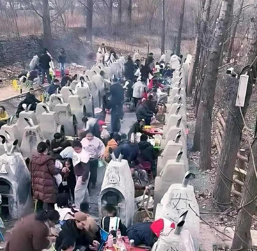 猛一看还以为是坟地，仔细一瞧原来是在野餐。