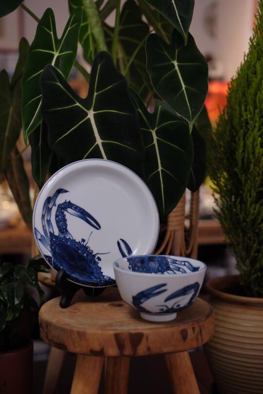 与美丽的瓷器邂逅