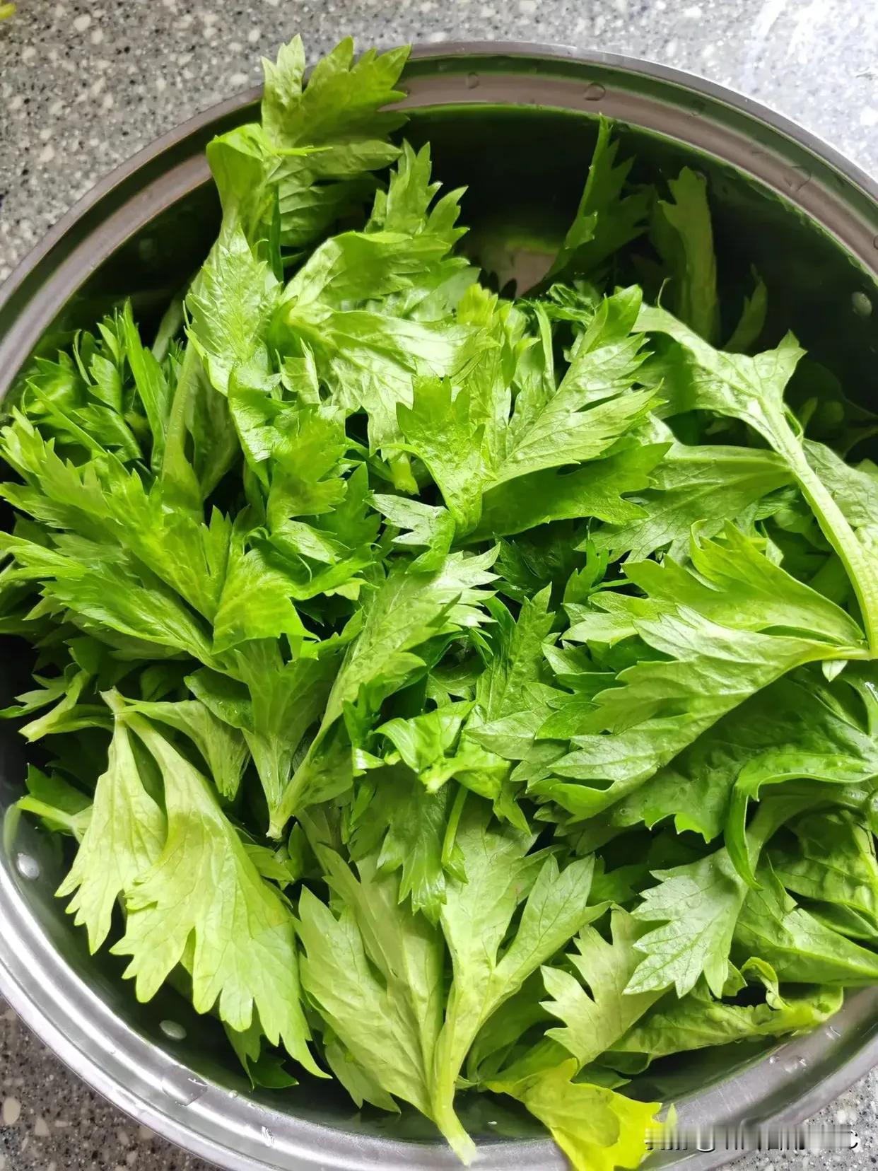 吃芹菜叶子，不是为了省，也不是因为穷。
我每次买来芹菜，芹菜叶子都不扔。
洗干净