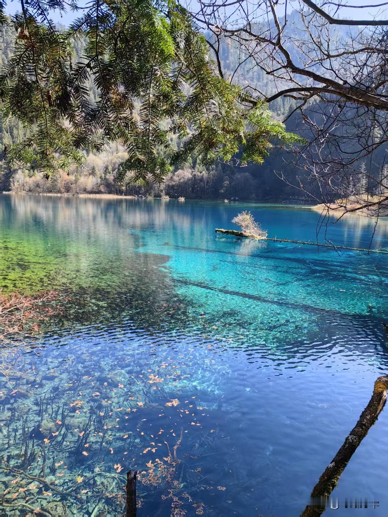 2025年11月16日九寨沟淡季的第一天。昨天的风雪还留在记忆里，今晨却是一片澄