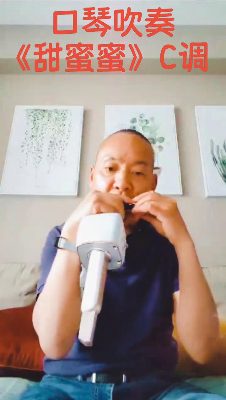 口琴吹奏《甜蜜蜜》C调。
DIRECTOR导演，红星闪烁，PERFORMER演员