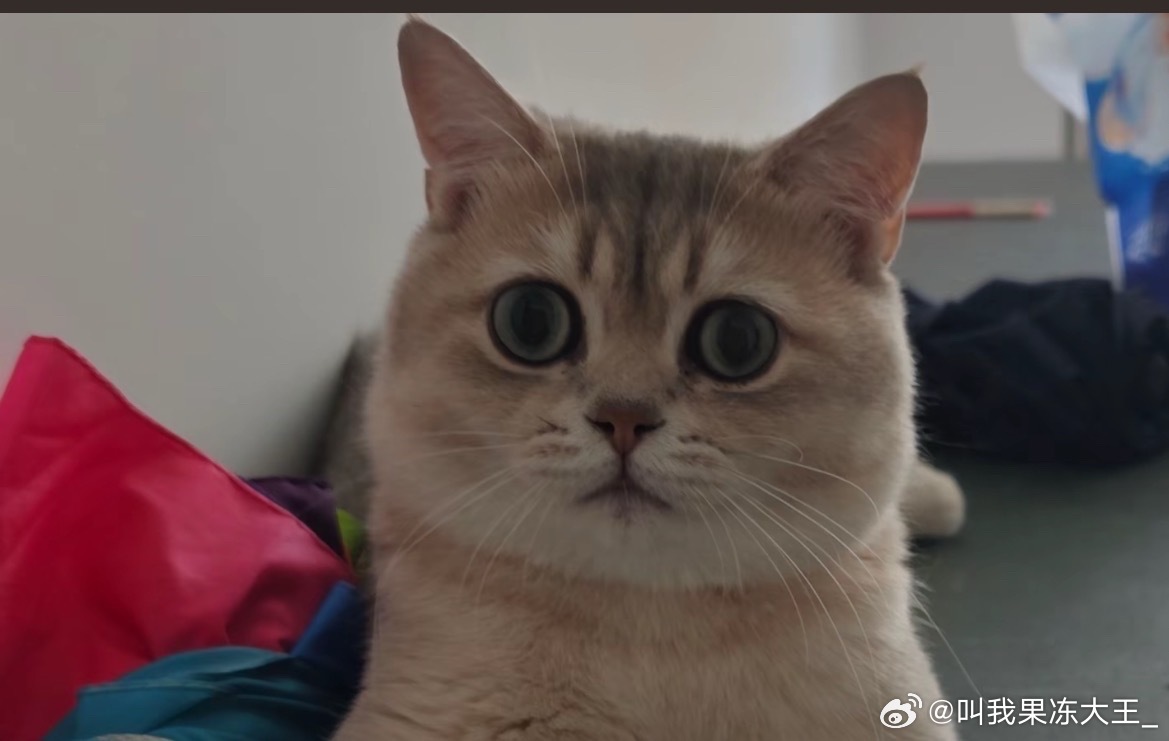 我就看到他们这些旅游的人我就羡慕，但旅游不花米还赚米的我就更羡慕了，关键是他还玩