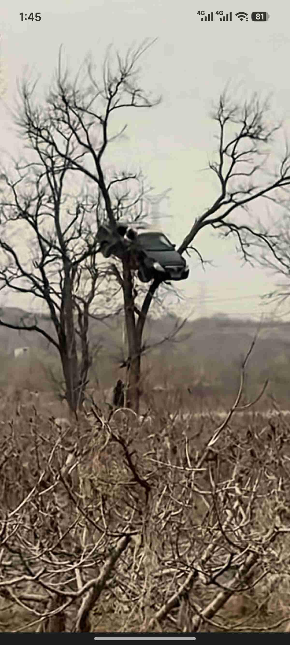 真想知道，这个学友哪个驾校学的驾照。车能开到这个程度，应该不是谁都能做到的。
