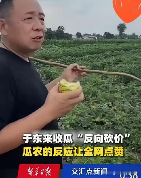 看到于东来收甜瓜那段视频，心里真不是滋味。
农户开口报价五毛，其实心里也没底，甚