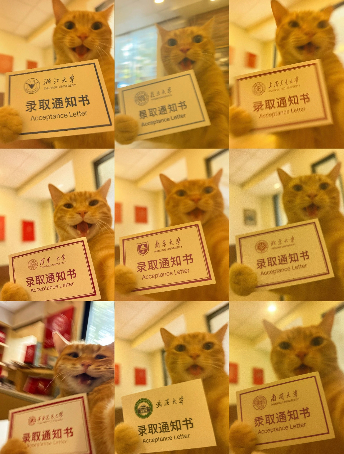 高考成绩今天开始可以查成绩了，祝学子们都能金榜题名，考入自己心仪的学校！但也想告