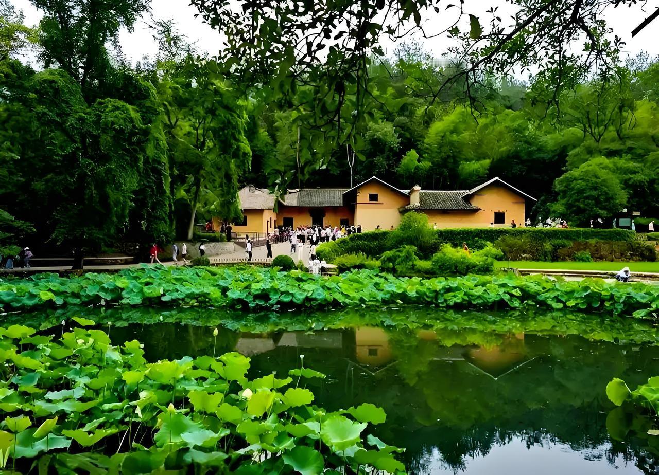 我的2025年度总结 2025年，最让我开心的事就是去韶山旅游。
踏上韶山这片土