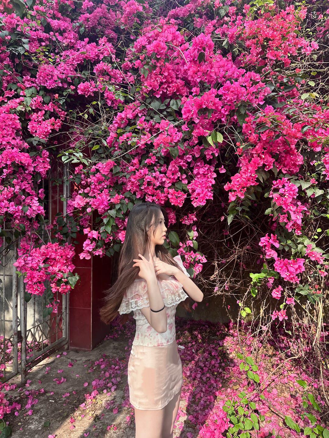 每日晒出最美照片