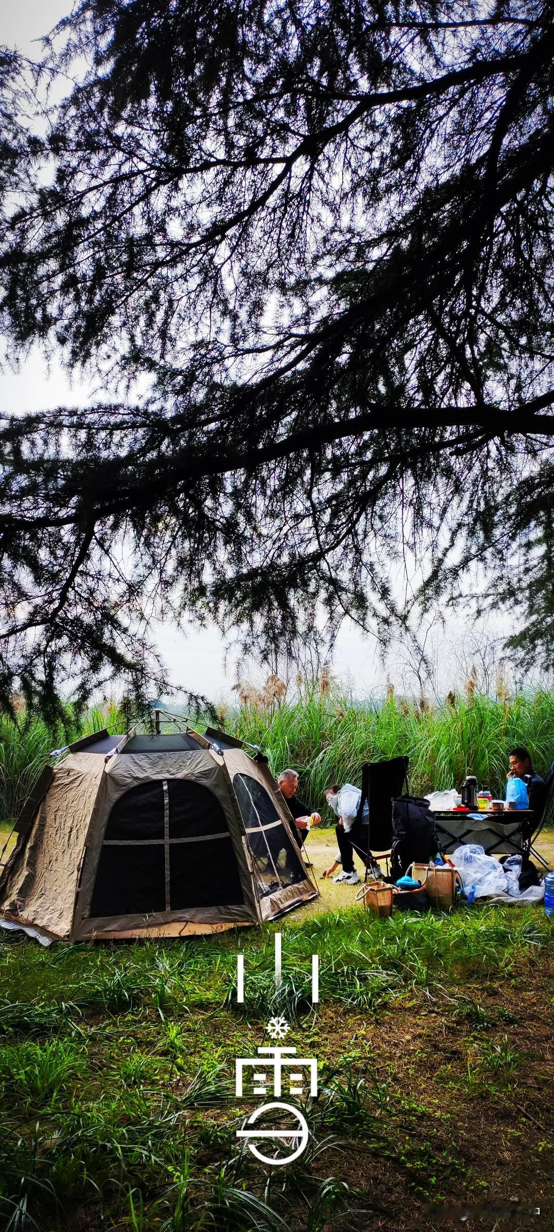 一张图证明冬天来了今日小雪，湿地公园里还是随处可见闲暇游玩的人们，透着温馨的日子