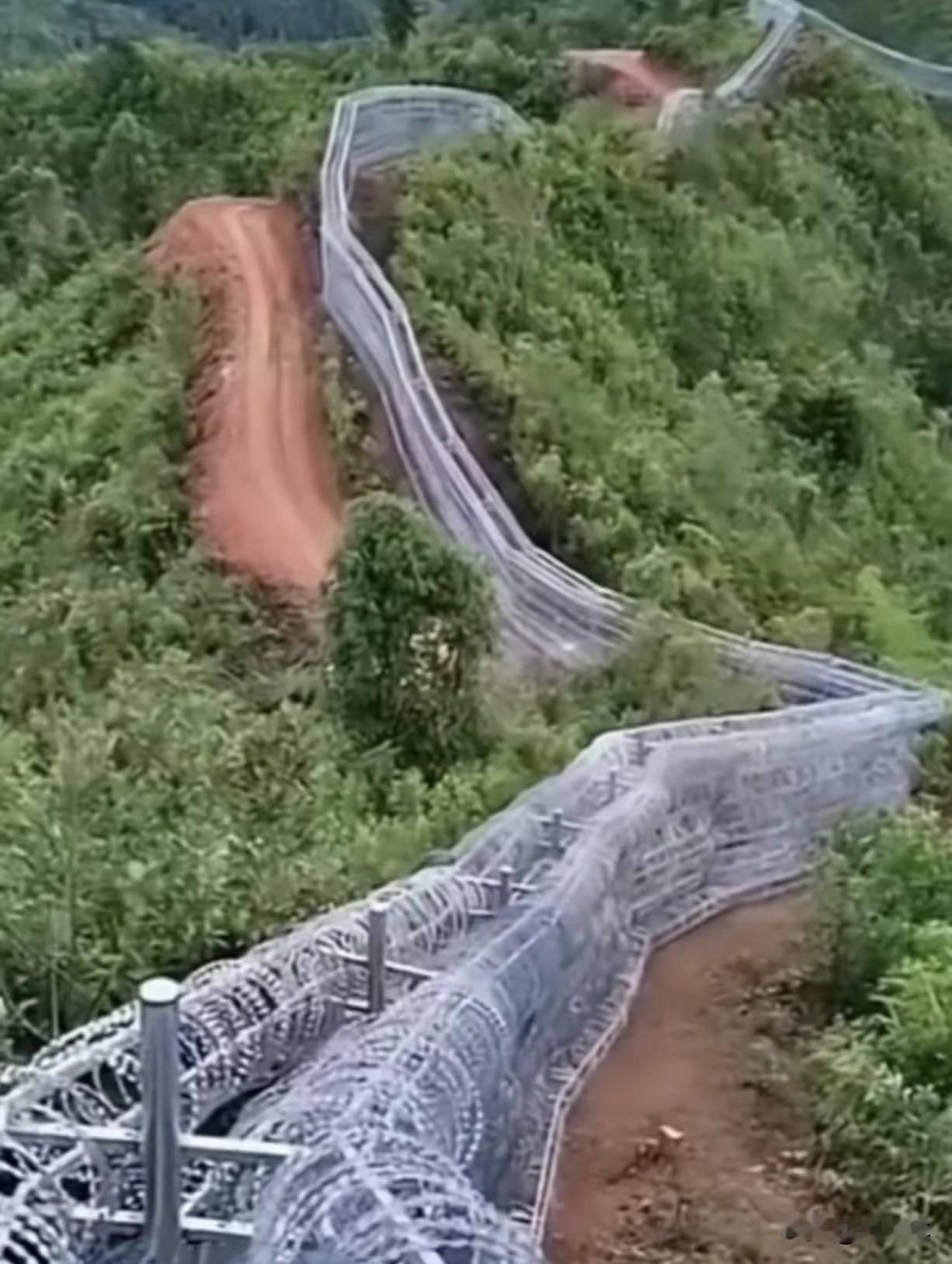 泰山装网主要建在未开放的野山区域，正规登山路线不受影响。首要目的是森林防火，阻挡