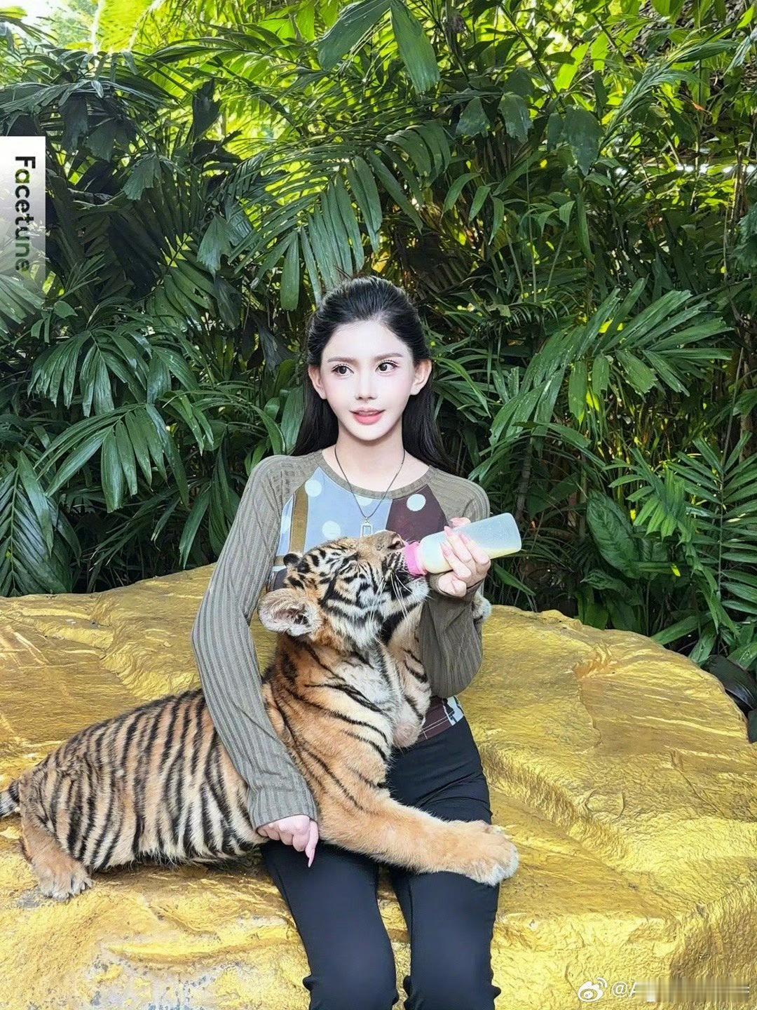 一天到晚可以少让一些网红上搜吗看得心烦 