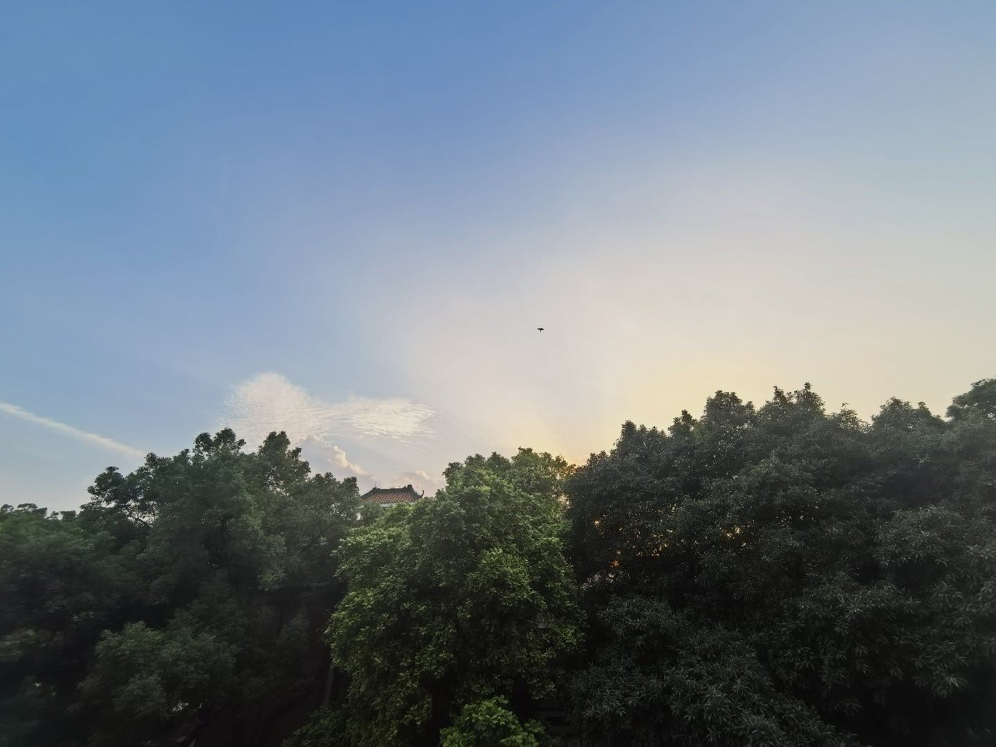 “昆山玉碎凤凰叫，芙蓉泣露香兰笑。"早晨老友记！ ​​​