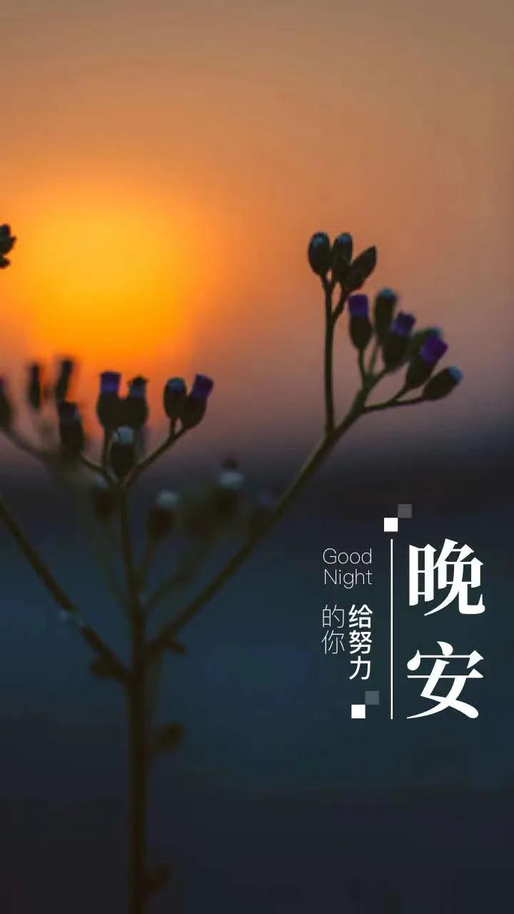 做不完的作业，熬不完的夜[流泪]
有的老师真的不可理解，难道学生就只学你这一科吗