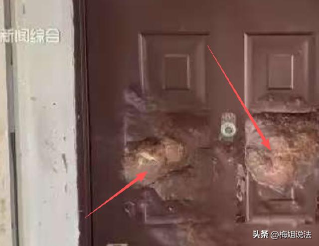 上海，陈女士被聋哑邻居洪先生折磨得苦不堪言，洪先生搬来后，为发泄母亲去世的郁闷，