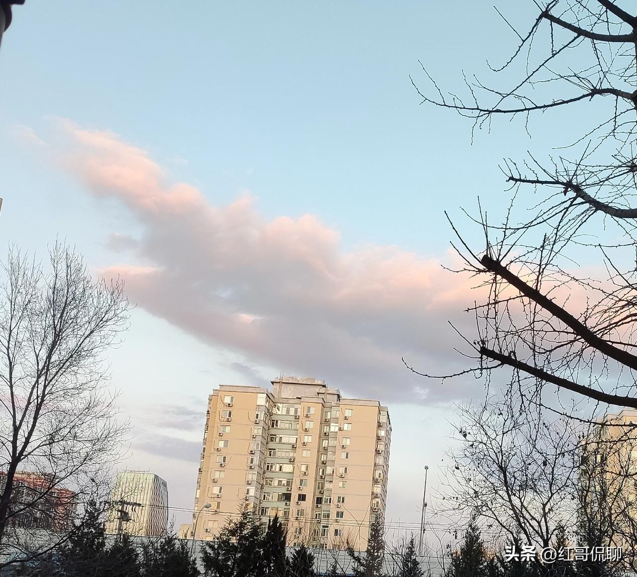 这里有几家公认靠谱的北京豆汁店，附地址、特色和推荐吃法，方便你打卡：
 
1. 