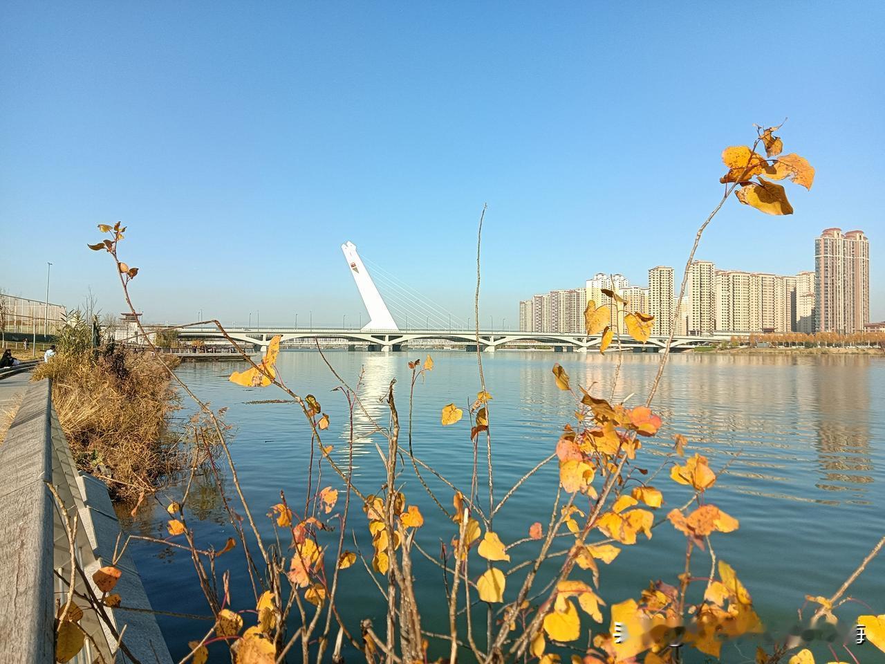 本来打算是去浐灞国家湿地公园玩，可一看到灞河边的“美色”就瞬间改成了灞河游！今天