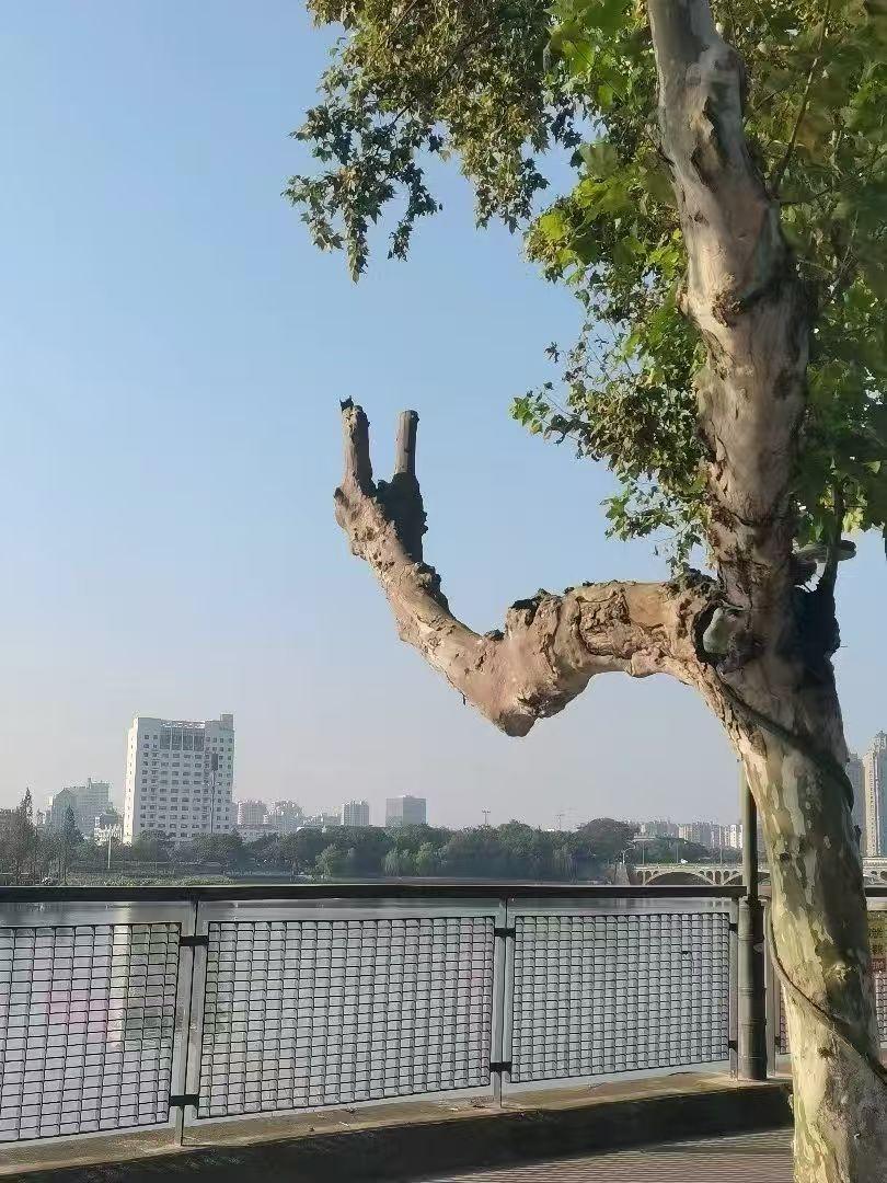 初秋蚊子🦟
真是不离不弃的好朋友
怎么赶都赶不走[捂脸]