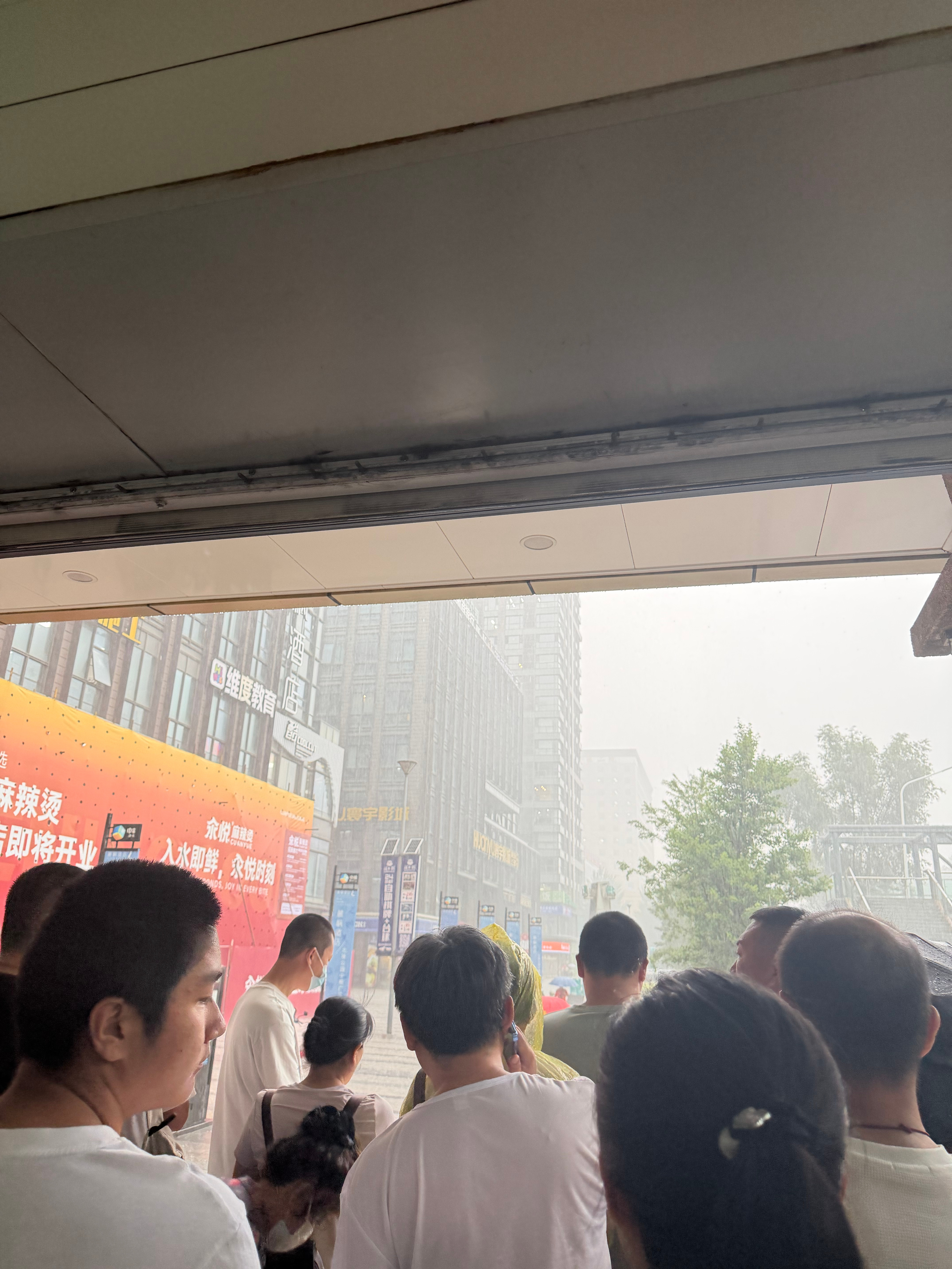 我不知道这是啥意思 