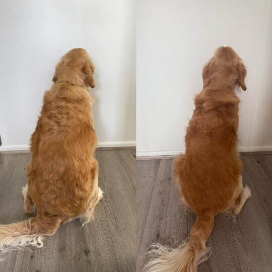 39kg  ➡️ 33kg