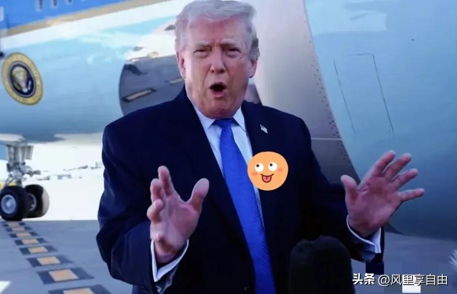 特朗普睡了，世界总算能喘口气了。

从昨晚开始，这位美国总统的嘴就没消停过。他每