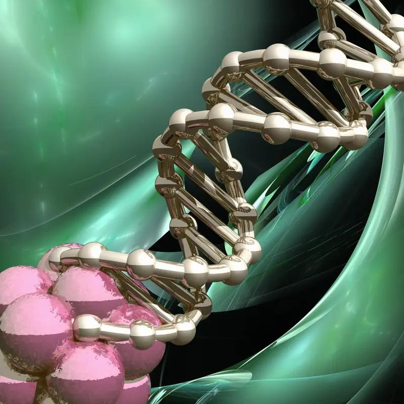 人的寿命长短到底由什么决定，一直是热门话题。以前问长辈，答案要么是“基因好”，要