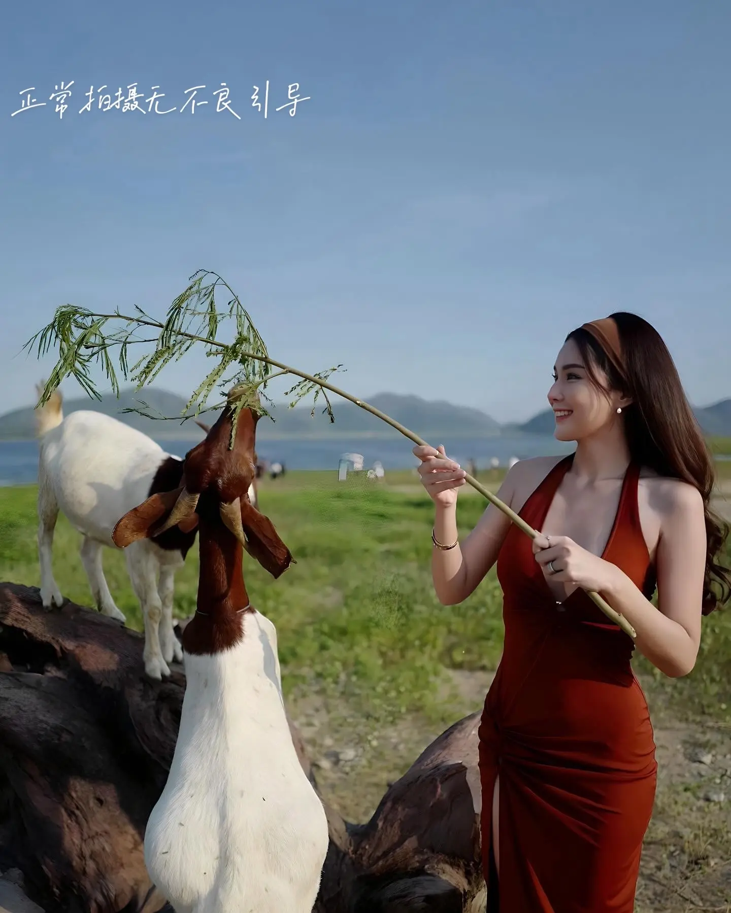 假期已过半，照片拍了吗评论区展示