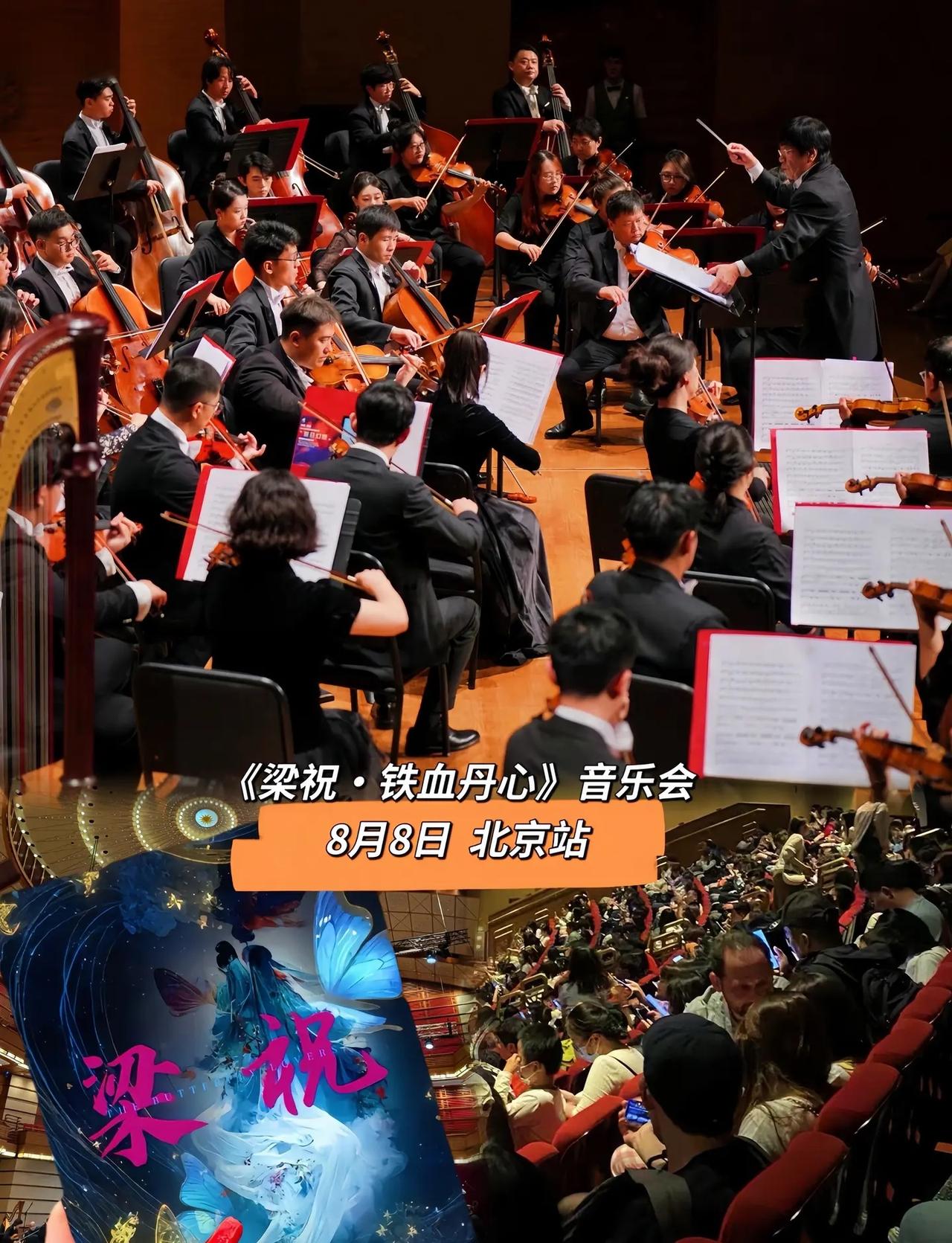 《梁祝》用柔美感人的经典旋律，传递出人对爱的向往和追求，让我们在体会追求中的辛酸