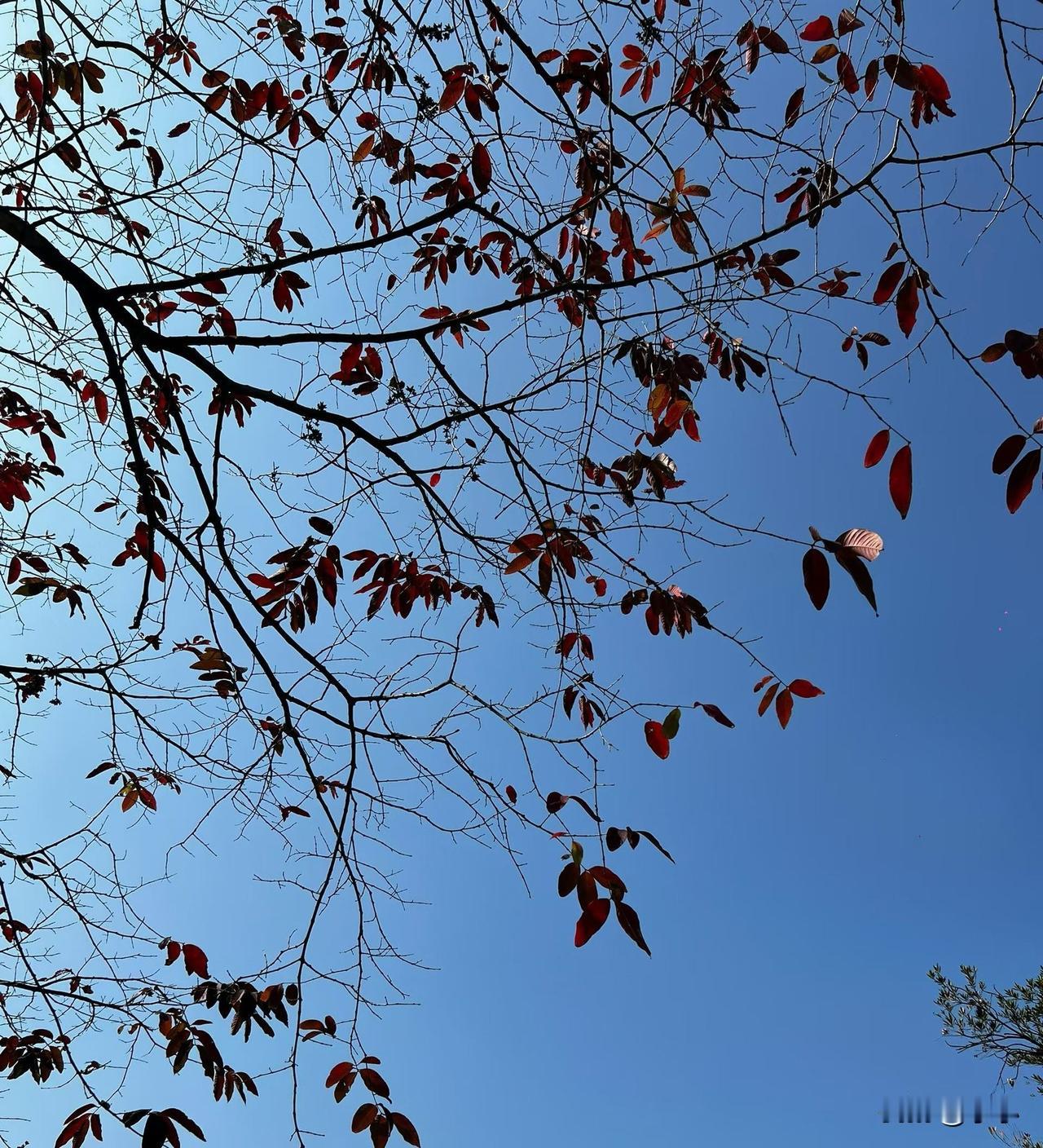 过年有没有做过这样的事？过年总是想着把所有微信里面的人全部拜年。

以前老是想赶