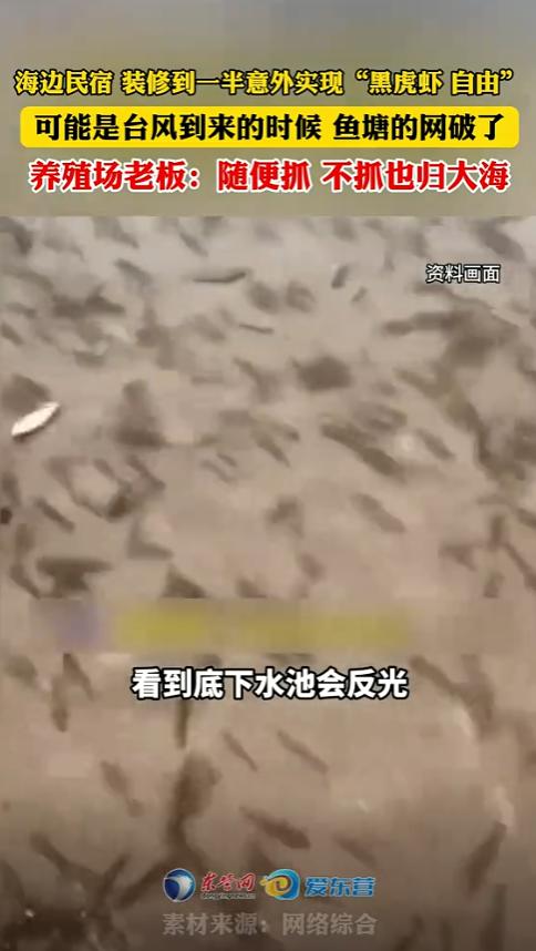 “这老板有格局！”福建宁德，一男子在楼顶装修民宿时，意外发现海水反光，男子出于好