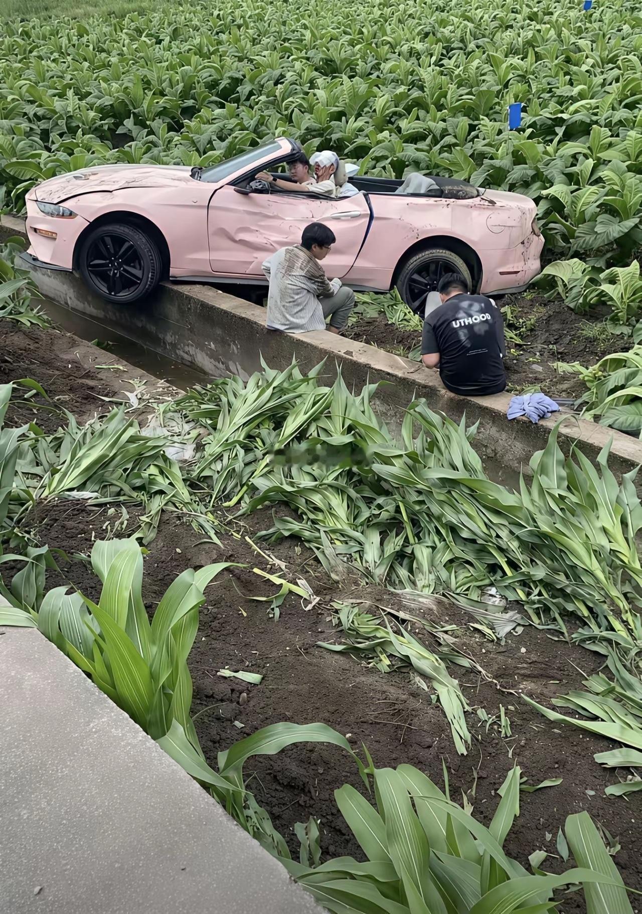 把车租给他们的人亏翻了吧 保险公司肯定不管了 