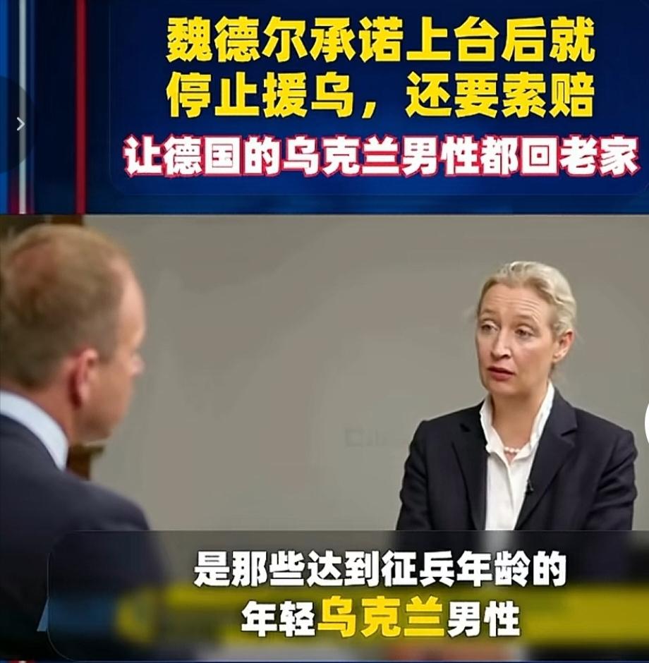 魏德尔表示，要是上台，乌克兰人必须回国，尤其是那些适龄征兵的成年乌克兰人。不仅如