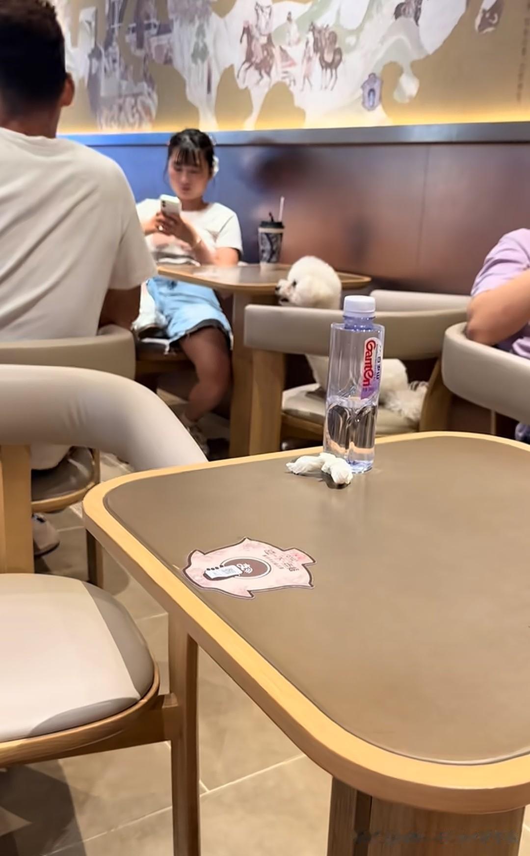 狗进店，还上桌，这次轮到某家知名品牌的奶茶店了。看狗主人的雷霆坐姿就知道素质有多